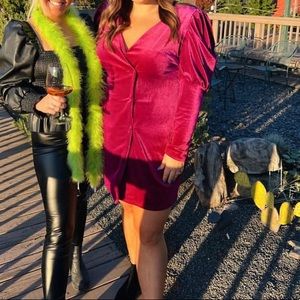 SHEIN velvet puff sleeve dress